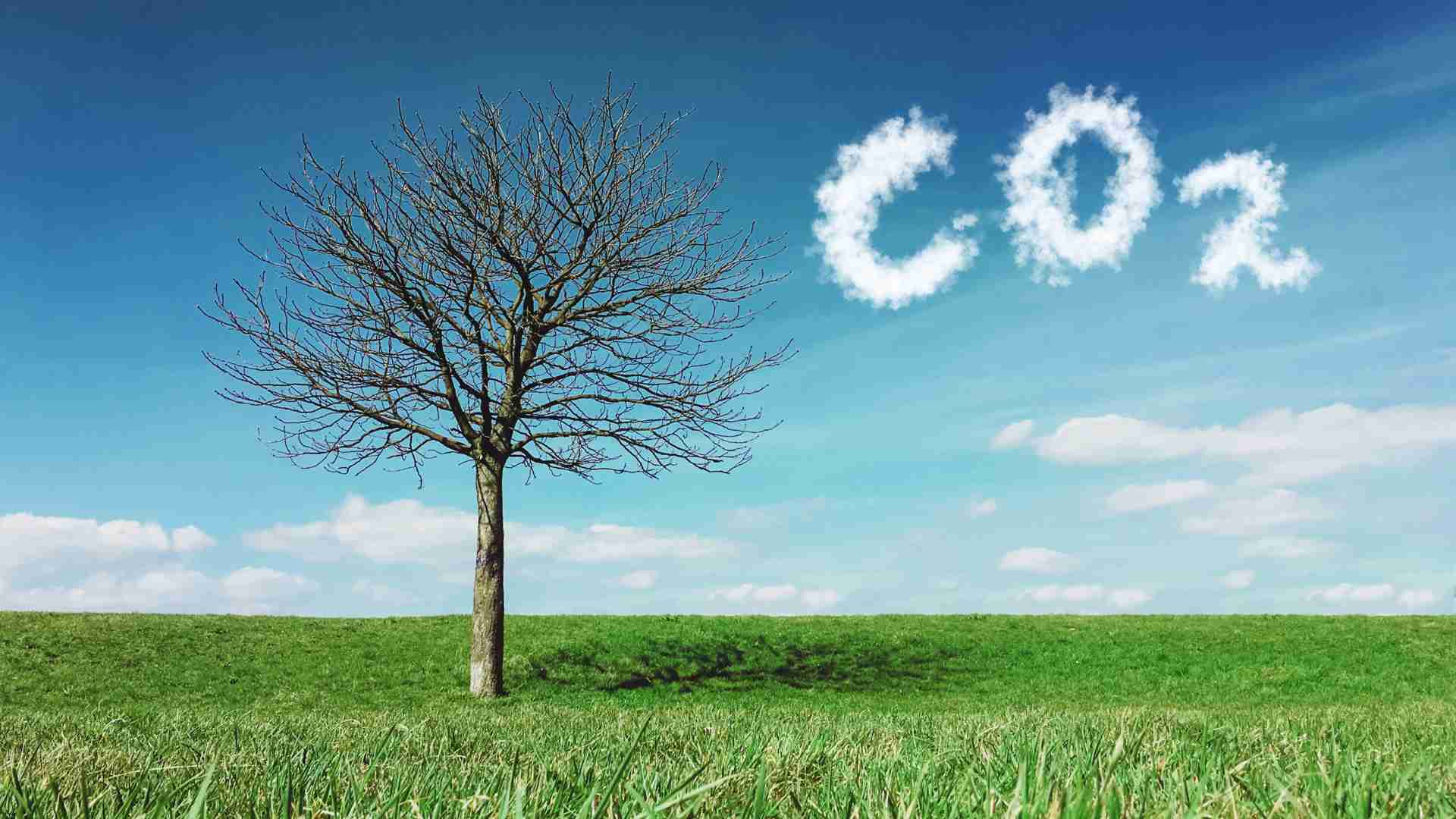 anidride carbonica