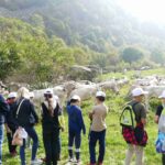Caluma el vache <br> Roccaforte M.vì, 5 ottobre 2023