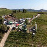 Prove in vigneto <br> Alba, 27 luglio 2023