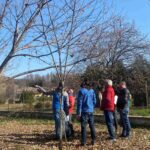 Prove in campo. Gestione potatura del castagno” <br> Caraglio, 6 marzo 2025