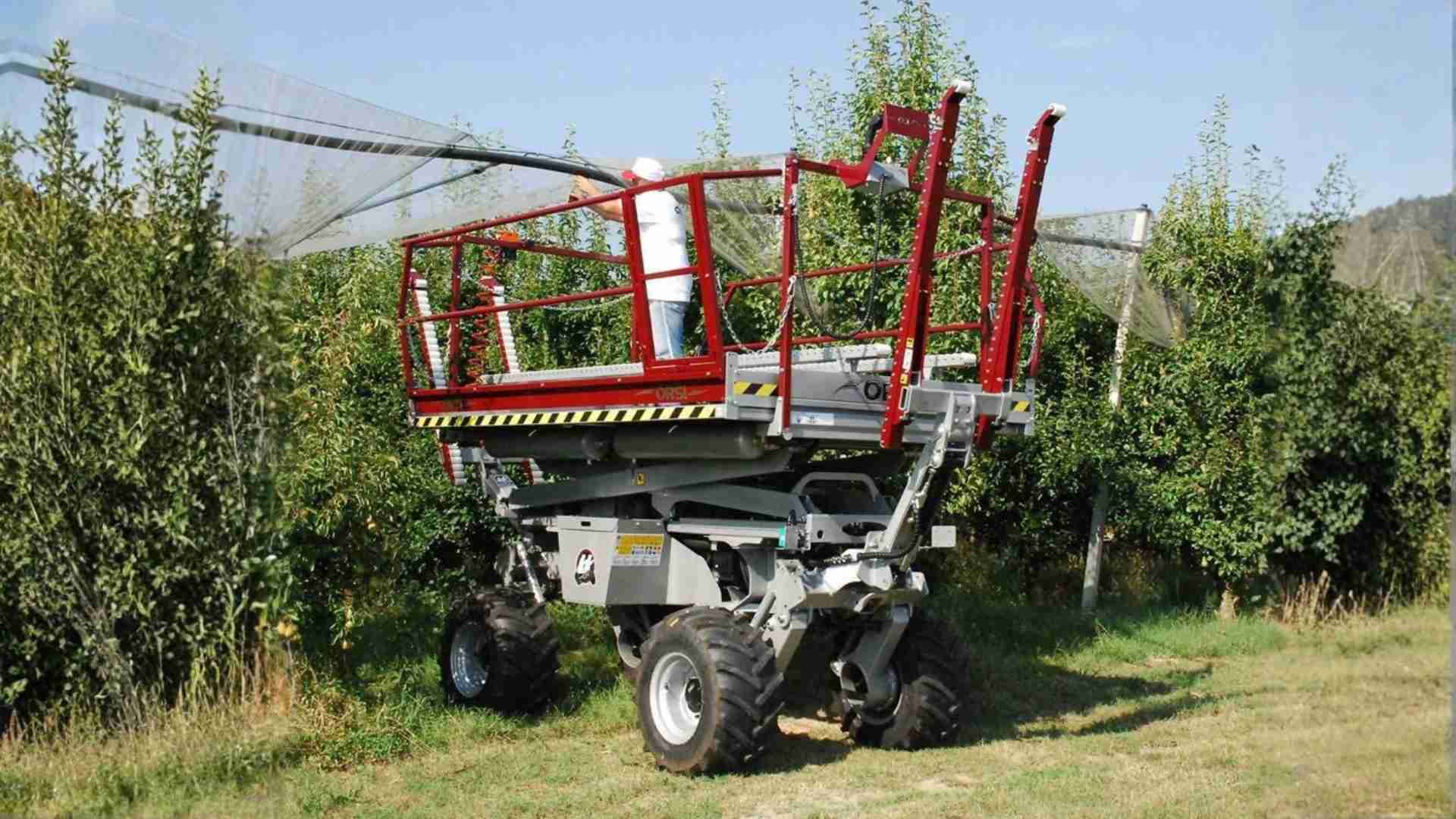 carro raccogli frutta (2)